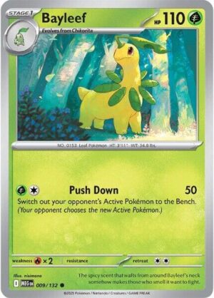 Bayleef 009/132