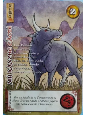 Niu Kanzhe Caodi (LPE4 - Real)