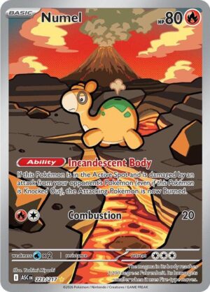 Numel 223/217