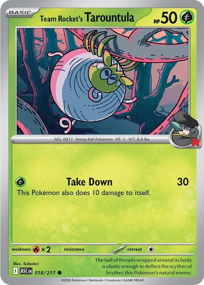 018 217 Rocket Tarountula Team