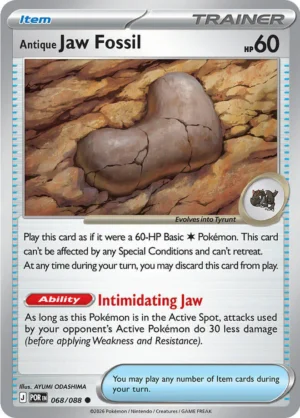 Antique Jaw Fossil 068/088